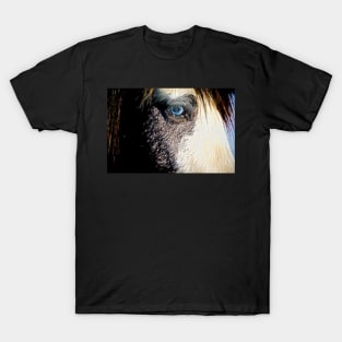 Equidae#4 T-Shirt